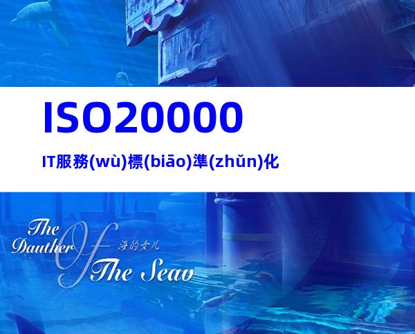 ISO20000IT服務(wù)標(biāo)準(zhǔn)化