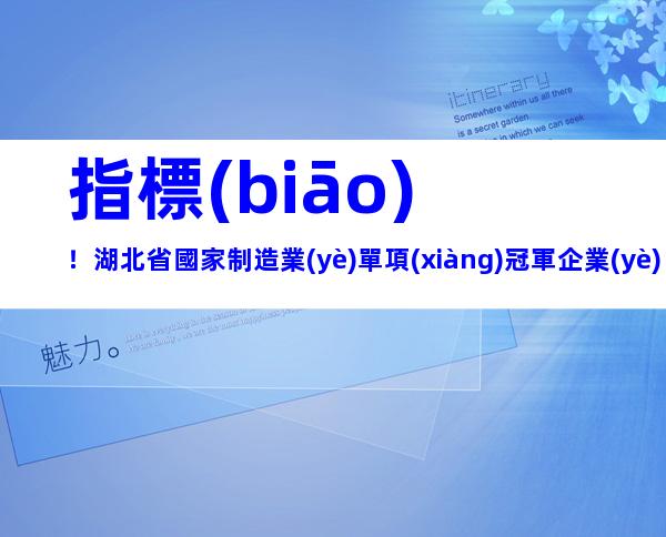 指標(biāo)！湖北省國家制造業(yè)單項(xiàng)冠軍企業(yè)認(rèn)定申報(bào)條件