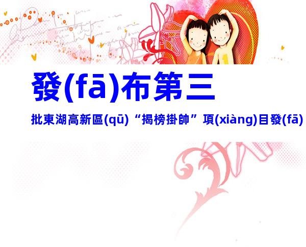 發(fā)布第三批東湖高新區(qū)“揭榜掛帥”項(xiàng)目發(fā)榜方需求申報(bào)條件方式及補(bǔ)貼要求