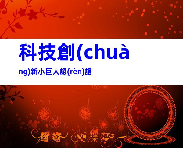 科技創(chuàng)新小巨人認(rèn)證