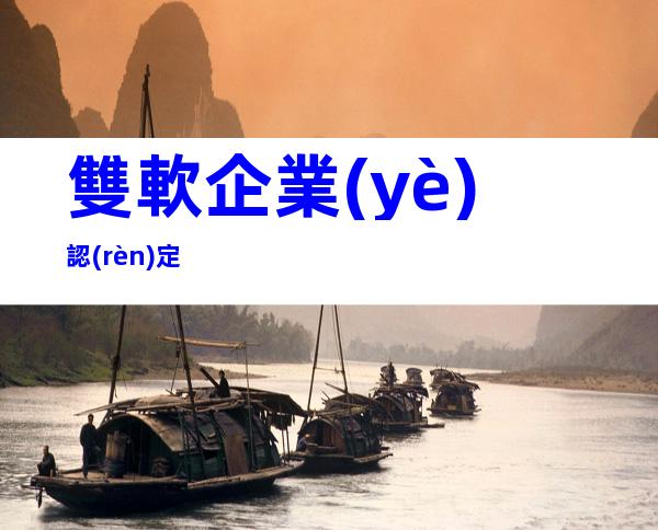雙軟企業(yè)認(rèn)定